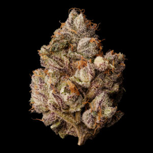 LEMON CHERRY GELATO BX1