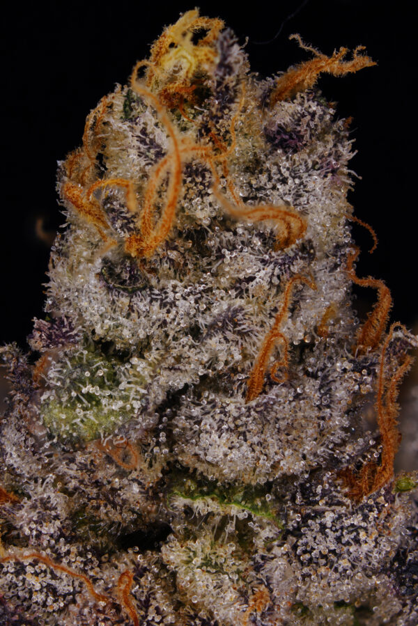 MEAN STREAKS - Image 3