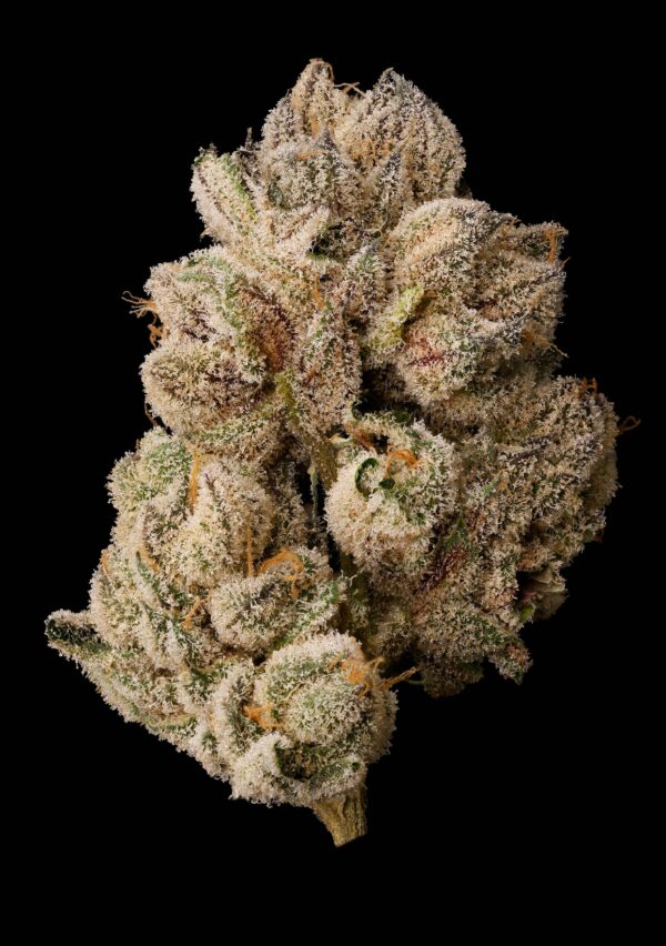 PERMANENT KUSH - Image 4