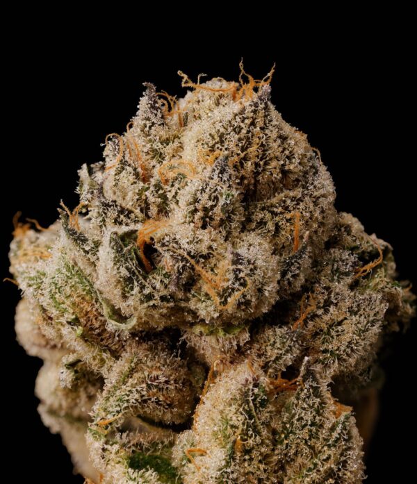 PERMANENT KUSH - Image 3