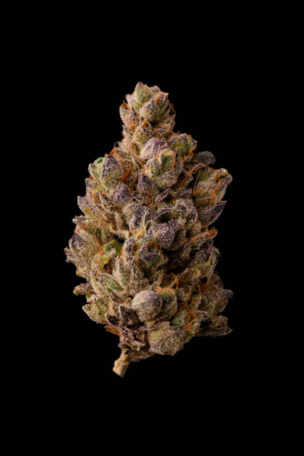 CHERRY ZTRIPEZ - Image 4