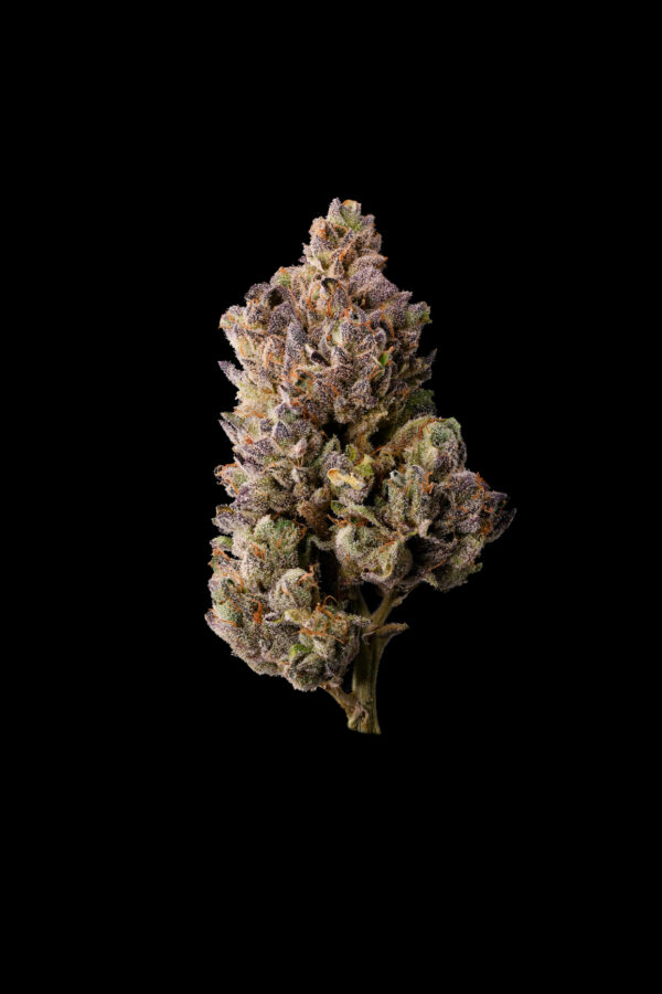 CHERRY ZTRIPEZ - Image 5
