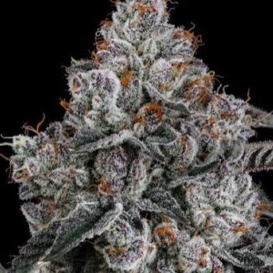 LEMON ZTRAWZ