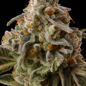 SOUR CAPS